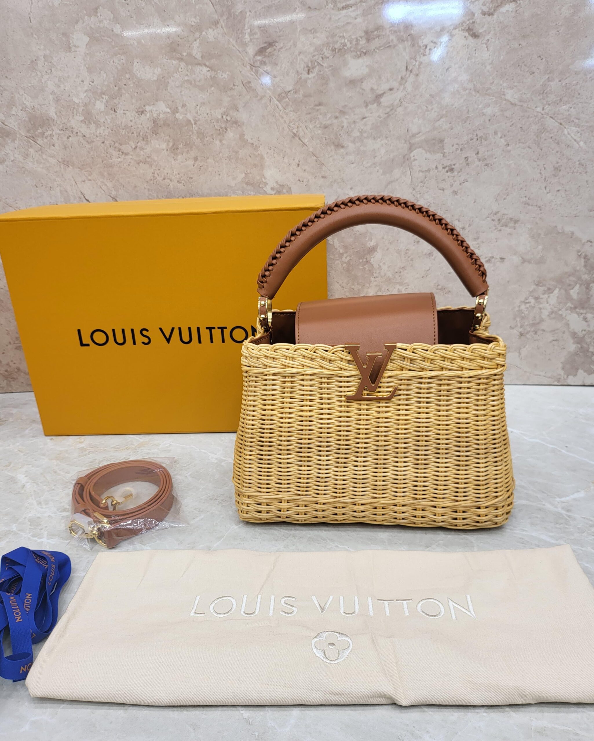 Louis Vuitton Ladies Handbags